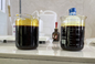 Kohesi Kuat FeCl3 Ferric Chloride Liquid 1,45 Ton / IBC Tank 40% Min